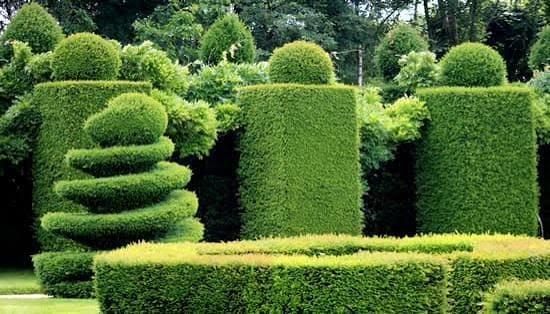 Garden Maintenance